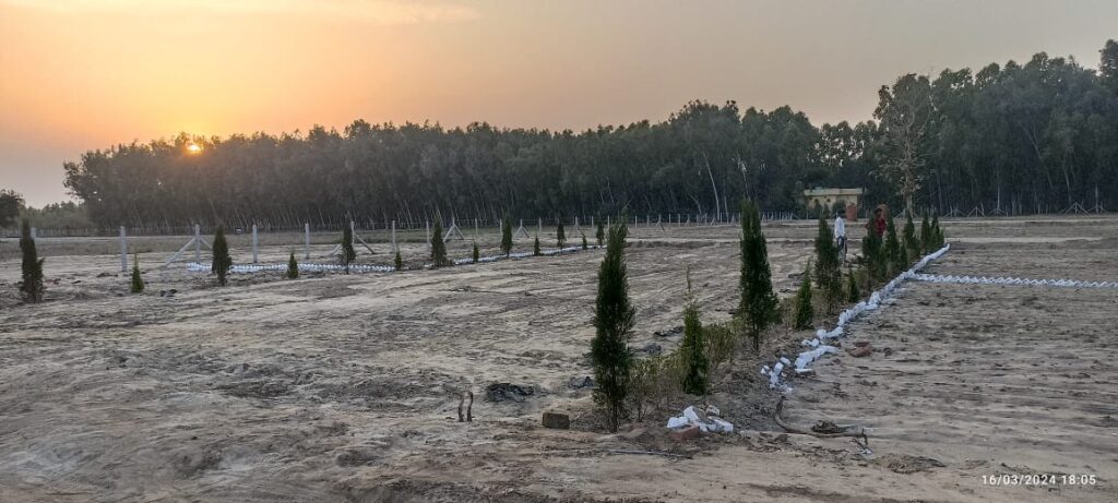 Evening at Nature Green Valley