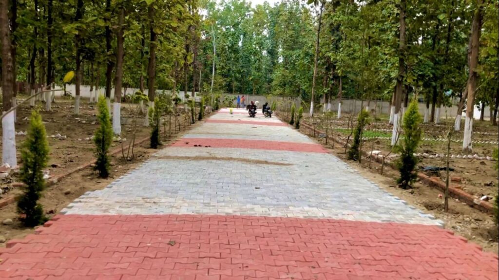 Beautiful Pathway at Nature Green Valley